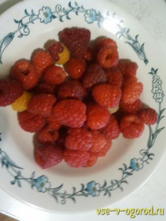 ,,,raspberries, a plate, berries